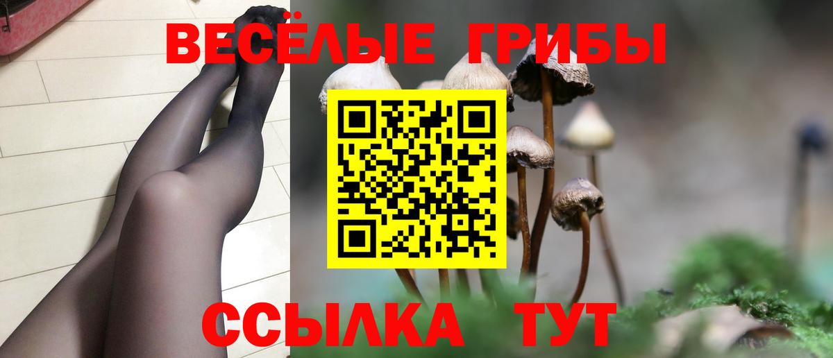 Вышний Волочёк  наркота  Псилоцибиновые грибы Psilocybine cubensis  Вход с VPN  Галлюциногенные грибы прущие грибы 